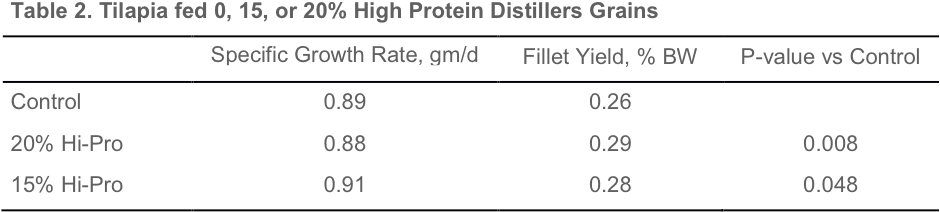 Tilapia fed 0, 15, or 20% High Protein Distillers Grains