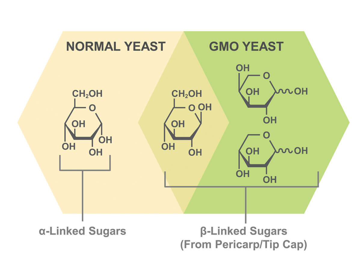 ICM Uses a Special GMO Yeast that can Ferment all the Sugars